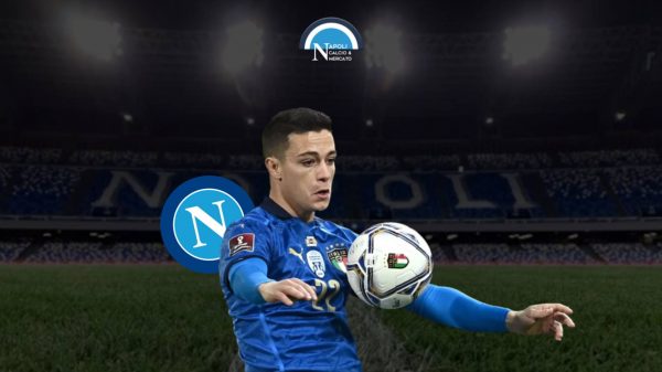 doppietta gol raspadori napoli calciomercato turchia italia highlights