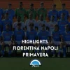 highlights fiorentina napoli primavera video gol tabellino risultato sintesi cronaca formazioni